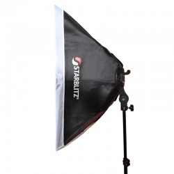 Kit lumière continue 2 torches LED, 2 trépieds, un sac de transport