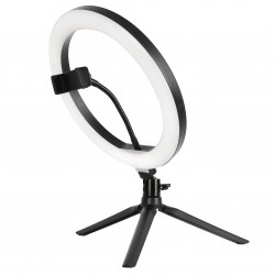 Kit de 10'' vlogger